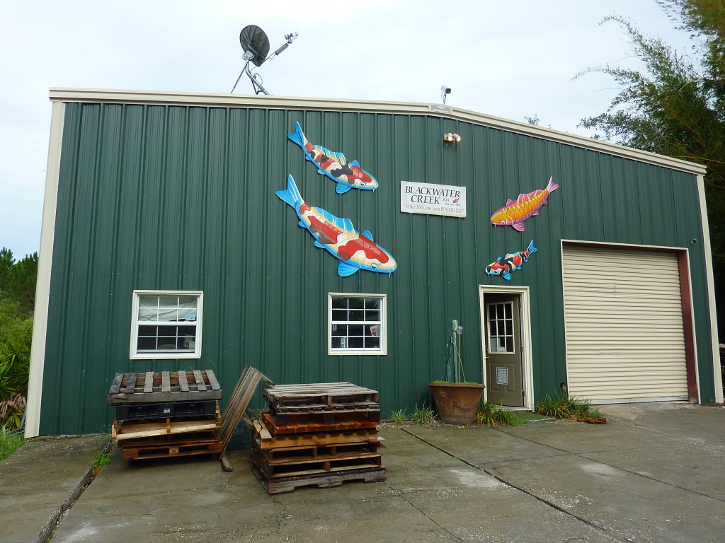 Blackwater Creek Koi Farm Office