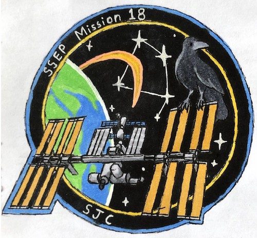 Houston, Texas Mission Patch 2