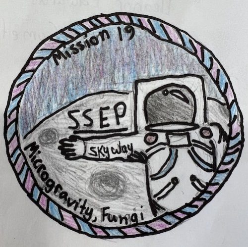 Colorado Springs, Colorado Mission Patch 1