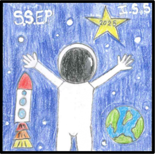 Hillsborough County, Florida Mission Patch 1