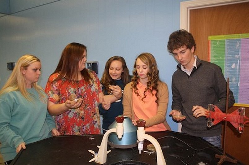 Brookhaven Academy student researchers examine their bacterium, Ralstonia eutropha. Image Credit: SSEP